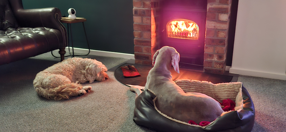 Woofus Dog Boarding North Shields Woofus Dog Boarding Tynemouth Woofus Dog Boarding Cullercoats Woofus Dog Boarding Whitley Bay Woofus Dog Boarding Holywell Woofus Dog Boarding Seaton Delaval